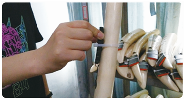 �½������(�й���)�ٷ���վ